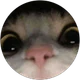 Sıla KARA profil fotoğrafı