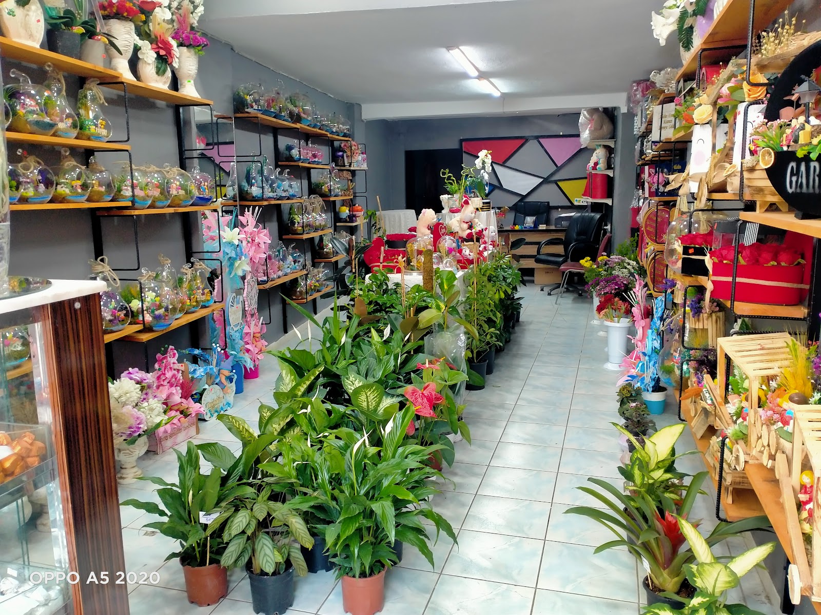 FLOR'EM ÇİÇEK EVİ Osmaniye