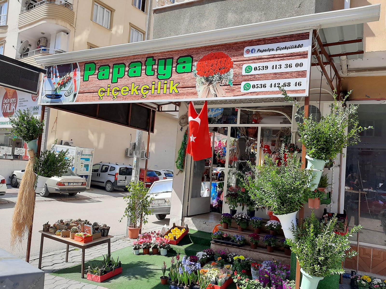 PAPATYA ÇİÇEKÇİLİK
