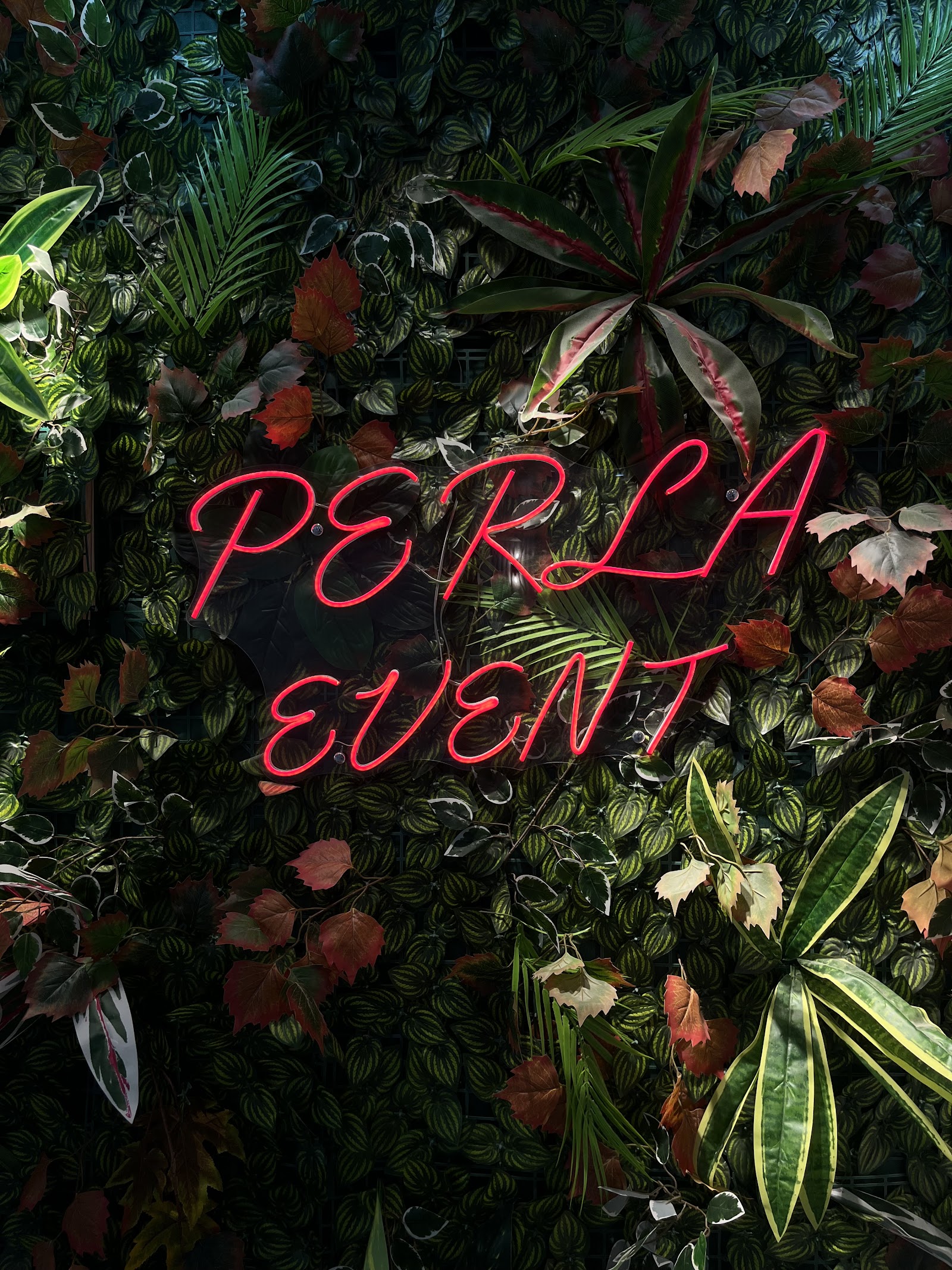 Perla Event | Osmaniye Davet Evi