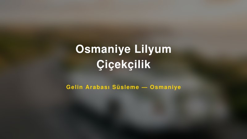 Osmaniye Lilyum Çiçekçilik Osmaniye Gelin Arabası Süsleme