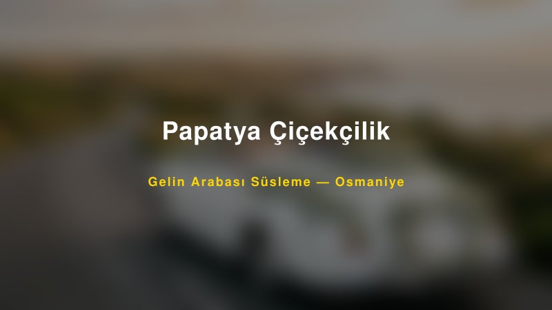 Papatya Çiçekçilik Osmaniye Gelin Arabası Süsleme