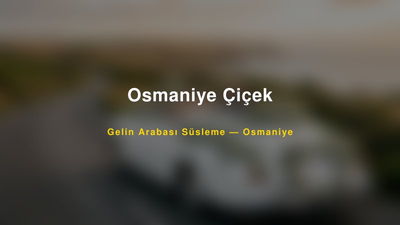 Osmaniye Çiçek Osmaniye Gelin Arabası Süsleme