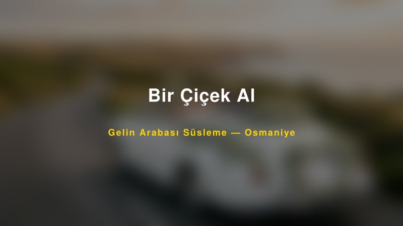 Bir Çiçek Al Gelin Arabası Süsleme Fiyatları — 1