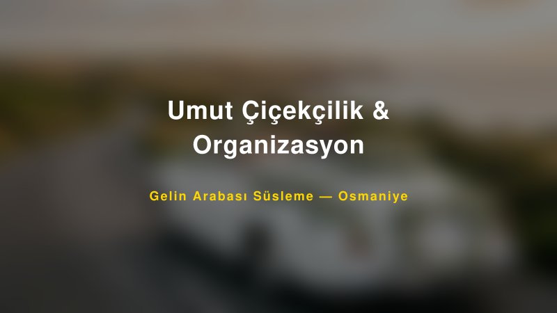 Umut Çiçekçilik & Organizasyon Gelin Arabası Süsleme Fiyatları — 1